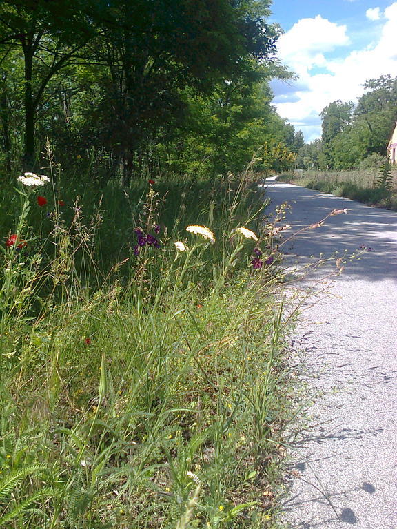 Garzo-Puszta Tanya Bugac Exterior foto